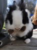 Benutzerbild von Leonie96