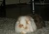 Benutzerbild von Lilly&Cookie