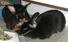 Benutzerbild von Lohundwei�granne