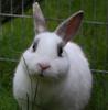 Benutzerbild von LouLou