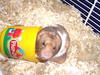 Benutzerbild von miley