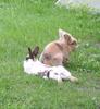 Benutzerbild von M�rle