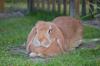 Benutzerbild von Pinkbunny