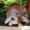 Benutzerbild von Sanny0093