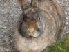 Benutzerbild von schnuffi_1