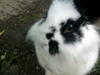 Benutzerbild von Shelly11