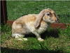 Benutzerbild von Skippy170609
