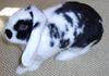 Benutzerbild von Smokey02