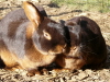 Benutzerbild von tess