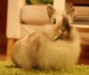 Benutzerbild von Tess06