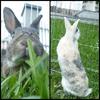 Benutzerbild von Tierfreuniin♥
