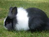 Benutzerbild von Tinkerbell_