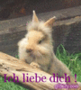 Benutzerbild von WILSON