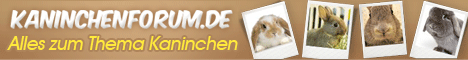 Kaninchenforum Online