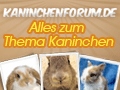 Kaninchen Forum