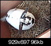 Fotowettbewerb-lacky-008.jpg