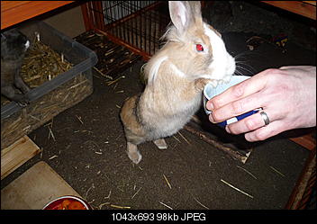 ERLEDIGT - Fotowettbewerb April-p1010443.jpg