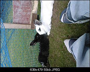 ERLEDIGT - Fotowettbewerb April-foto0056.jpg
