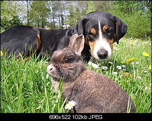 Fotowettbewerb August-sdc12282-kopie.jpg
