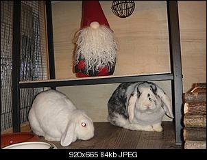 Fotowettbewerb Dezember-dsc02648.jpg