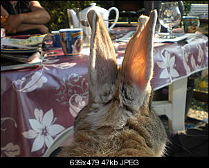 ERLEDIGT - Fotowettbewerb Juni-cimg2832.jpg