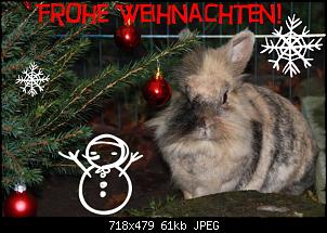 Fotowettbewerb Dezember Thema: "Advent, advent das Kaninchen (b)rennt"-weihnachtskaninchen.jpg