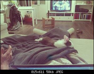 Fotowettbewerb M�rz "Mein Lieblingsplatz"-user14456_pic14765_1370349633.jpg