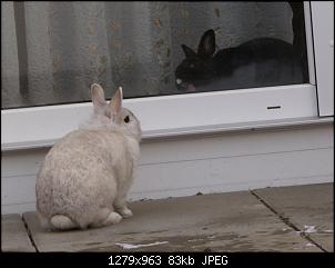 Fotowettbewerb Mai Thema "Freche Fr�chtchen"-dsc01414.jpg