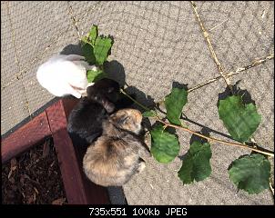 Fotowettbewerb August Thema "Spa� mit Freunden"-image.jpg