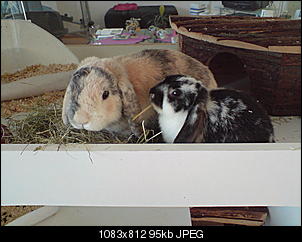 Fotowettbewerb September - ERLEDIGT!-dsc00128.jpg