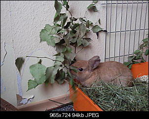 Fotowettbewerb Oktober - ERLEDIGT!-foto0245.jpg