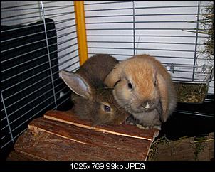 Fotowettbewerb mit spa�-100_2869.jpg