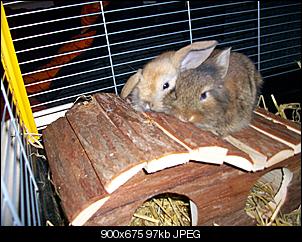 Fotowettbewerb mit spa�-100_2857.jpg