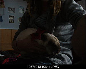 Fotowettbewerb Dezember - ERLEDIGT!-viele-bilder-003.jpg