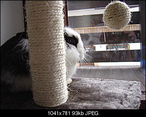 Fotowettbewerb Januar - ERLEDIGT!-dsc00367.jpg