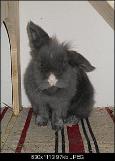 Fotowettbewerb Januar - ERLEDIGT!-sdc11323.jpg