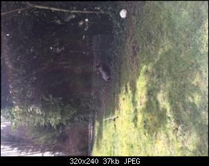 Fotowettbewerb M�rz-image1.jpg