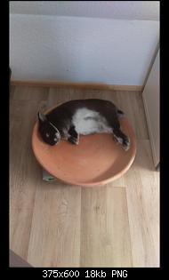 Fotowettbewerb Juni-screenshot_20170630-222145.jpg