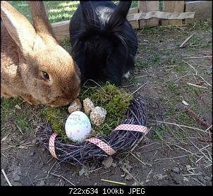 Fotowettbewerb M�rz "osterh�schen" "-dsc04212-2-.jpg