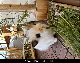 Fotowettbewerb April "Fr�hlingsgef�hle"-5d961cd3-2c0c-492a-8a40-ed306d191d29.jpg