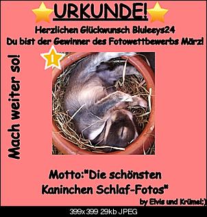 Neu: Urkunden f�r unsere Gewinner-m%E4rz%5B1%5D.jpg