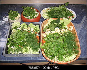 Der b�se Kopfsalat-pict0953.jpg