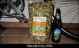 Wer kennt Gr�nhopper???-img_10080005.jpg