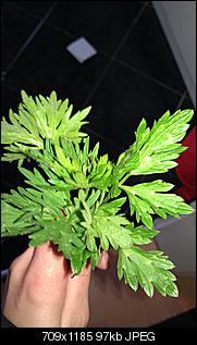 Klicke auf die Grafik f�r eine gr��ere Ansicht

Name:	IMAG0306.jpg
Hits:	112
Gr��e:	96,8 KB
ID:	13526