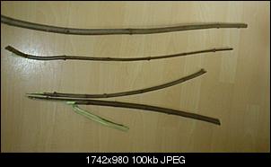 Wiese, �ste darf dies verf�ttert werden?-dsc_0057.jpg
