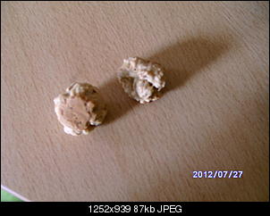 Ist das geeignet f�r Nins??-bild0195.jpg