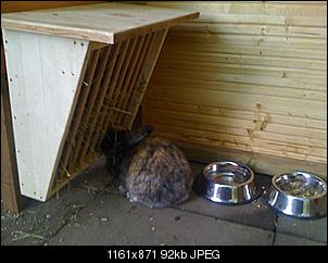 umgew�hnung - trinknapf-img_0188.jpg