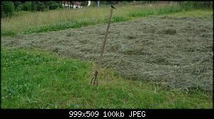 Wo kauft ihr euer Heu????-heumitvogel1.jpg