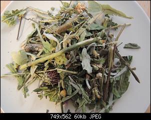 Sammlung: Strukturfuttersorten-bronchialmix.jpg