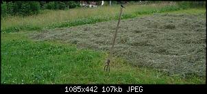Futtertest-heubreit1.jpg